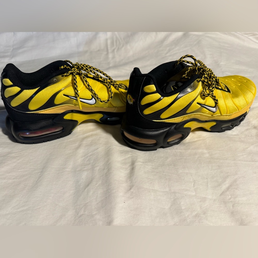 Nike Air Max Plus Tn Frequency Men’s 9